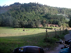 DSCN2137 DSCN2137