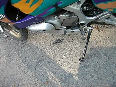 DSCN2139 DSCN2139