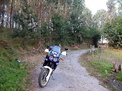 DSCN2138 DSCN2138