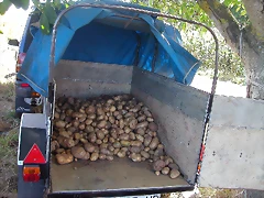 DSCN2128 DSCN2128