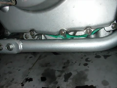 DSCN2140 DSCN2140