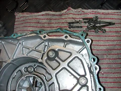 DSCN2145 DSCN2145
