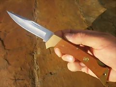 P7030037