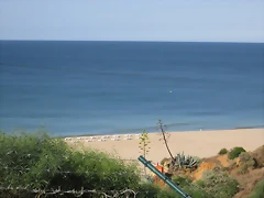 IMG_0010 IMG_0010