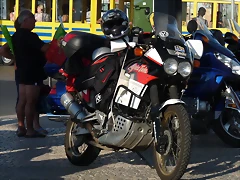 P1050871 P1050871