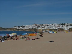 P1050881 P1050881