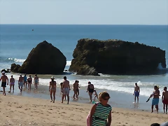 P1050882 P1050882
