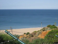 IMG_0009 IMG_0009