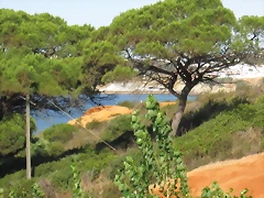 IMG_0012 IMG_0012