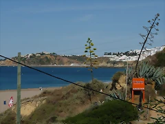 P1050873 P1050873