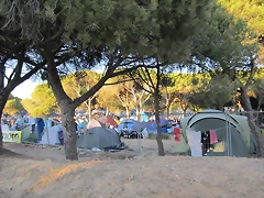IMG_0109 IMG_0109
