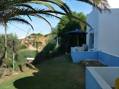 P1050874 P1050874