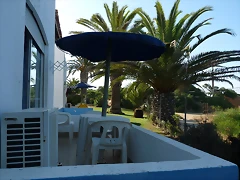 P1050876 P1050876