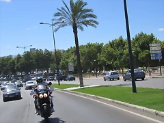 IMG_0019 (2) IMG_0019 (2)