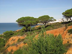IMG_0011 IMG_0011