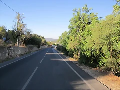 IMG_0065 IMG_0065