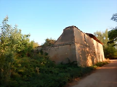 DSCN9521 DSCN9521