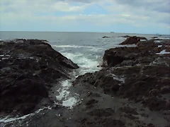 DSC01610