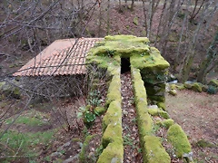 DSCN0130 DSCN0130