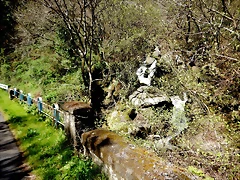 DSCN5048 DSCN5048
