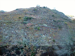 DSCN6469 DSCN6469