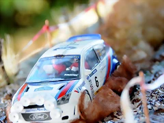 DSC_1330 DSC_1330