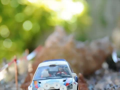 DSC_1334 DSC_1334