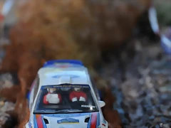 DSC_1338 DSC_1338