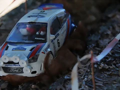 DSC_1329 DSC_1329