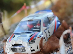DSC_1331 DSC_1331