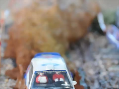 DSC_1337 DSC_1337