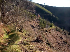 DSCN3010 DSCN3010