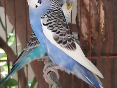 20170725_111419 20170725_111419
