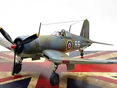 SDC21317 SDC21317