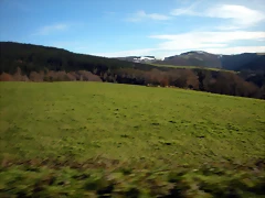 DSCN2501 DSCN2501