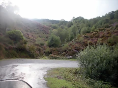 DSCN8454 DSCN8454