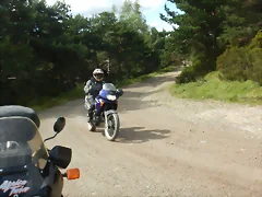 DSCN3931 DSCN3931