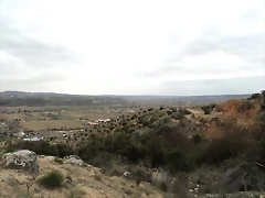 DSC00029