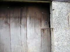 DSCN0474