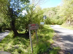 DSCN1019 DSCN1019