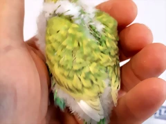 20190704_145637 20190704_145637