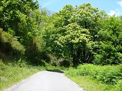 DSCN2166 DSCN2166