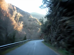 DSCN2430 DSCN2430