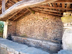 DSCN9557 DSCN9557