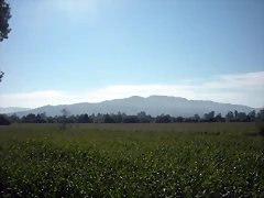 DSCN7750 DSCN7750