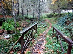 DSCN1274 DSCN1274
