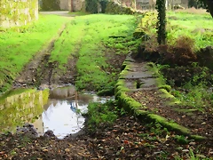 015-IMG_3994 015-IMG_3994