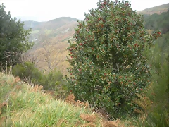 DSCN0632 DSCN0632