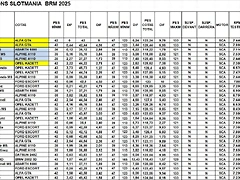 FULL VERIFICACIONS SLOTMANIA FEB 25 BRM HANDICAPS del 1 al 31