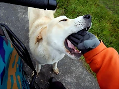 DSCN2986 DSCN2986